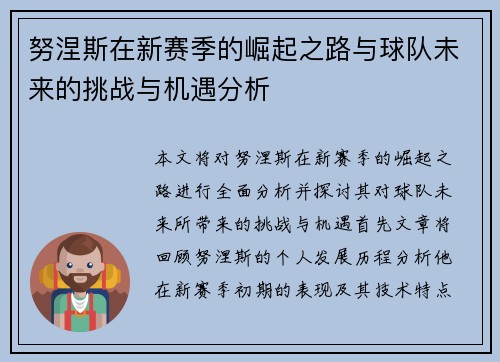 努涅斯在新赛季的崛起之路与球队未来的挑战与机遇分析
