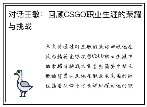对话王敏：回顾CSGO职业生涯的荣耀与挑战