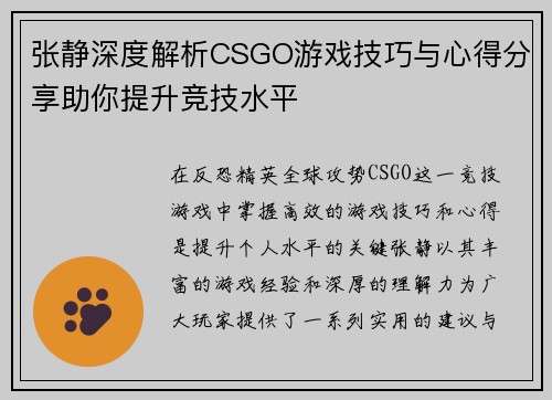 张静深度解析CSGO游戏技巧与心得分享助你提升竞技水平