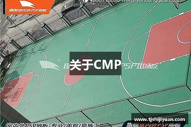 关于CMP